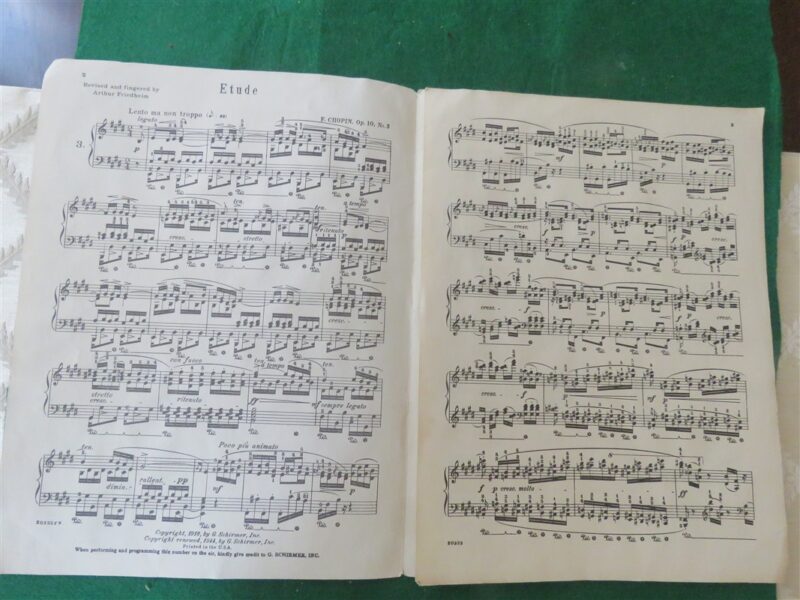 Frederic Chopin Works For The Pianoforte 6