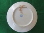 Decorative Plate Victoria Carlsbad Austria 4