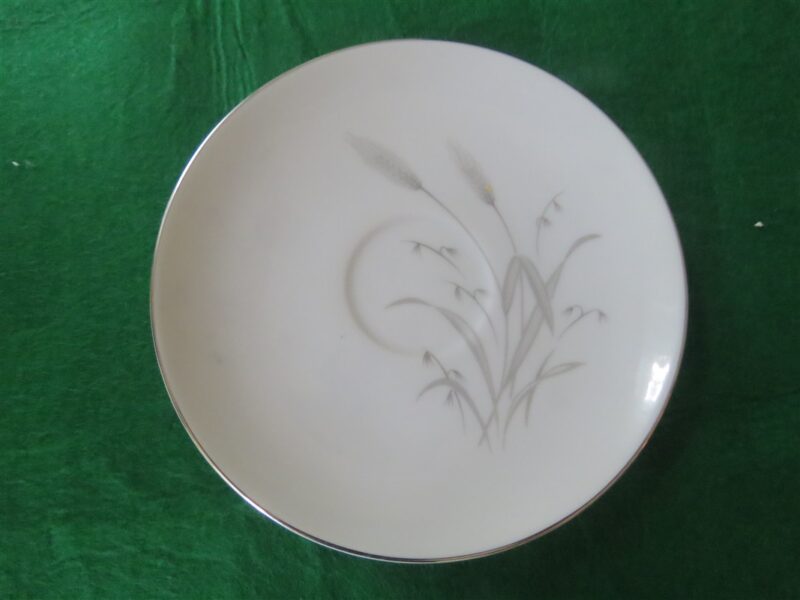 Cup & Saucer Sone China Spring Wheat 3