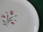 Salem China Luncheon Plate Tulip Time 2