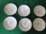 Salem China Fruit/Desert Dish Plate Tulip Time 2