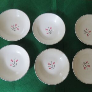 Salem China Fruit/Desert Dish Plate Tulip Time 2