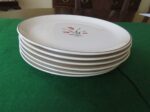 Salem China Salad Plate Tulip Time Set of 6 Plates Pink Tulips, Gray Leaves, Platinum Trim 2