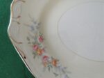 Homer Laughlin Oval Serving Platter Georgian 2