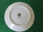 Vintage Towne Fine China "Moon Glo" dinner plate. 3