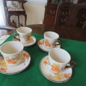 Franciscan Autum Pattern Cup & Saucer 1