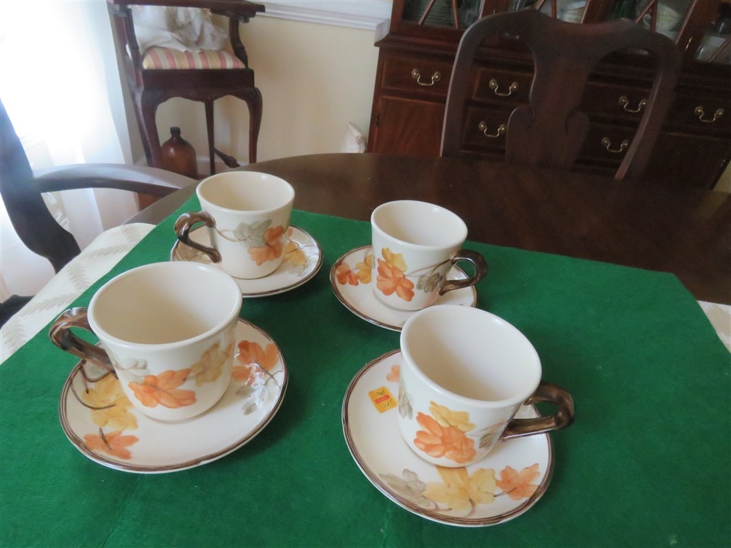 101174L1 (1067 x 800) Franciscan Autum Pattern Cup & Saucer 1
