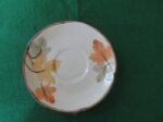 Franciscan Autum Pattern Cup & Saucer 5