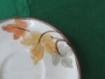 Franciscan Autum Pattern Cup & Saucer 6